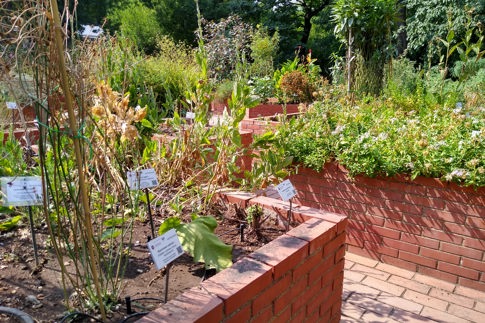 botanic garden rome 3