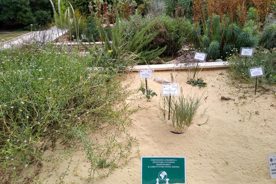 botanic garden rome 5