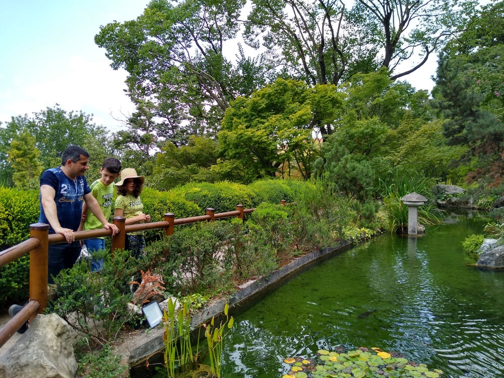 botanic garden 4