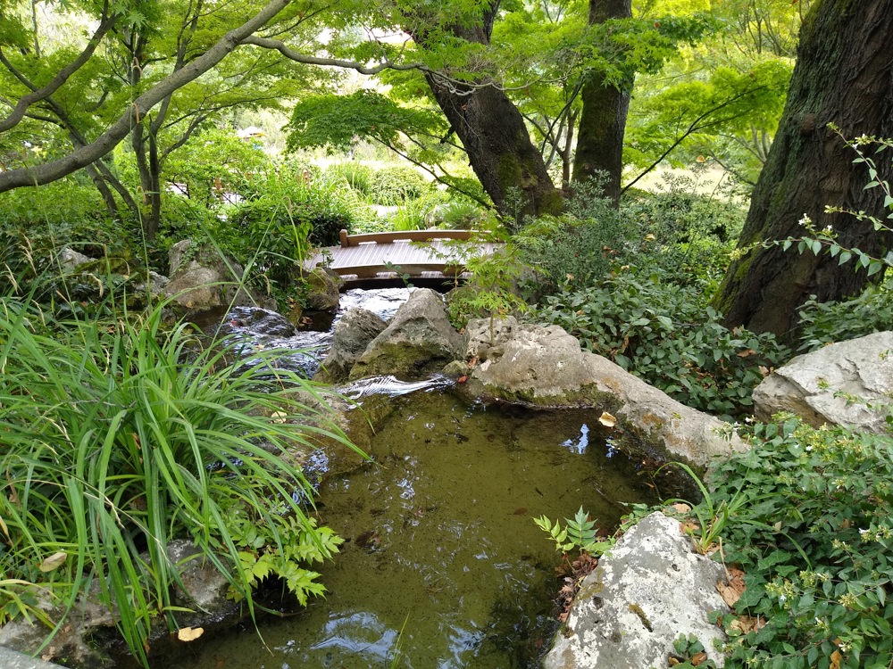 botanic garden 3